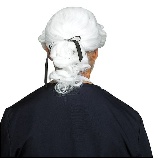 Adult George Washington Wig by Celebrate It™